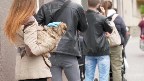Brünette mit Einmalmaske und Handschuhen hält Hund in Schlange — Stockvideo