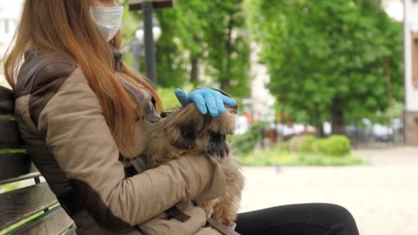 Ensam dam i engångsmask och handskar husdjur liten hund — Stockvideo