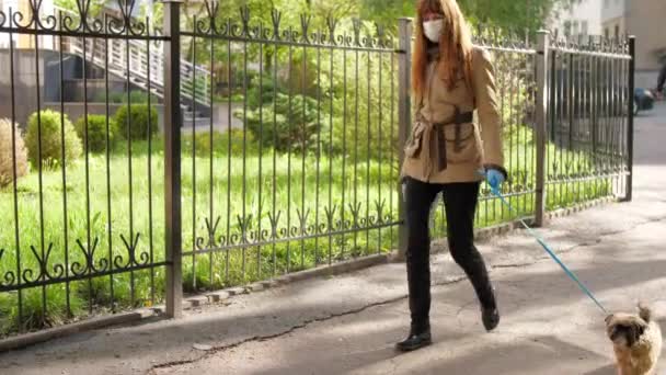 Kobieta spacery z małym psem trzymając smycz w dłoni powoli — Wideo stockowe
