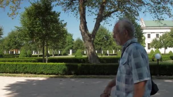 Orang tua berambut abu-abu berjalan sepanjang zona taman hijau terhadap langit — Stok Video