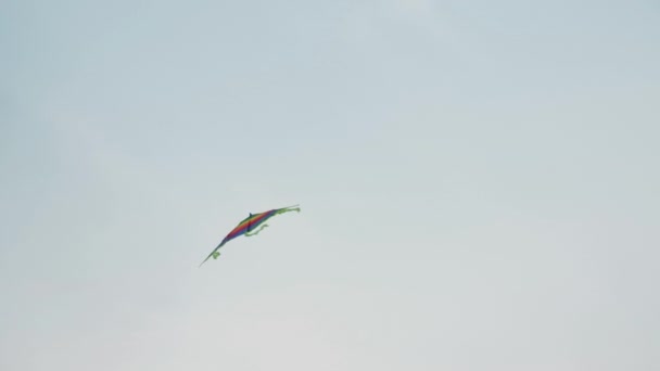 Bunte Drachen fliegen in der Luft gegen blauen Himmel in der Nähe von gebogenen Palmen — Stockvideo