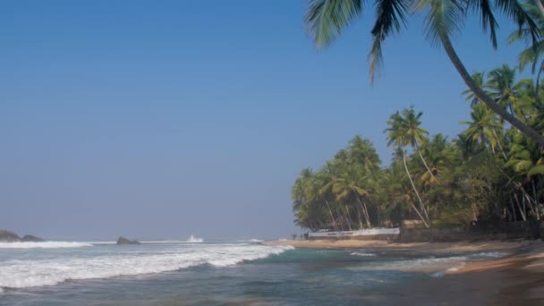 Playa tropical con mar ondulado cerca de largas palmeras verdes — Vídeos de Stock