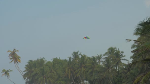 Kleurrijke vlieger vliegt in de lucht tegen de blauwe lucht in de buurt van gebogen palmen — Stockvideo