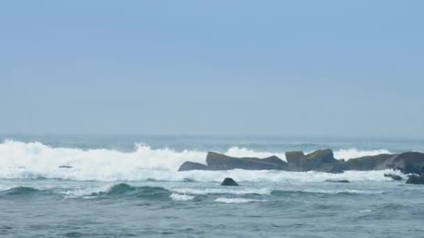 surfeurs actifs essaient d'attraper grande vague faire du sport extrême