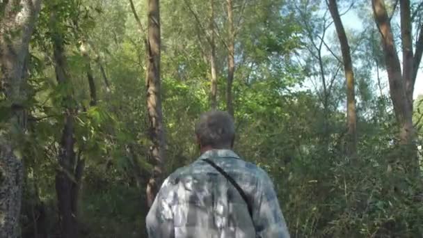 Человек с седыми волосами гуляет по пышному лесу в солнечный день — стоковое видео