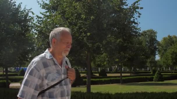 Grijze harige oude man loopt langs groene park zone tegen de hemel — Stockvideo