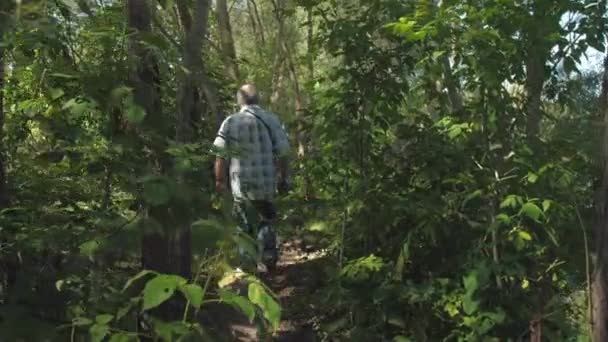Человек с седыми волосами гуляет по пышному лесу в солнечный день — стоковое видео