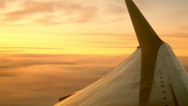 Flugzeug weißes Winglet gegen schönen Morgenhimmel — Stockvideo