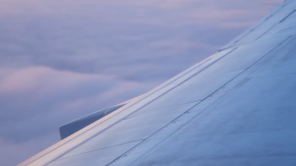 飞机白翼迎着美丽的晨景飞行 — 图库视频影像