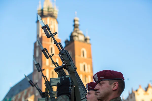 Polonyalı asker tetikte — Stok fotoğraf