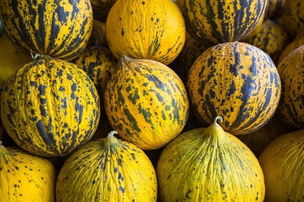 Meloni gialli maturi — Foto Stock