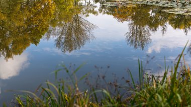Sonbahar yansıma gölet