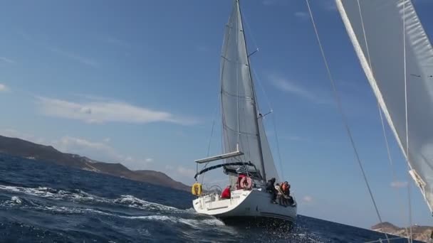 Sailors participate in sailing regatta — Stock Video