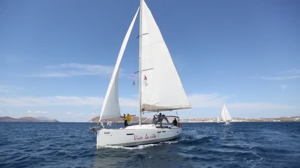 Sailors participate in sailing regatta — Stock Video