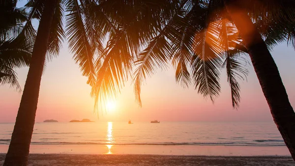 Puesta de sol en la playa con cocoteros — Foto de Stock