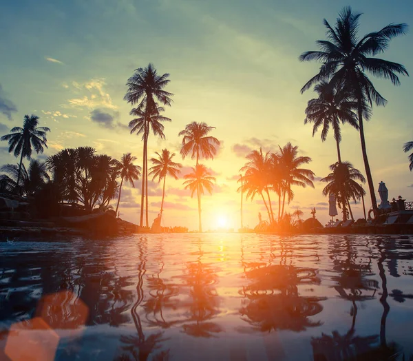 Coucher de soleil sur la plage de la mer avec palmiers — Photo