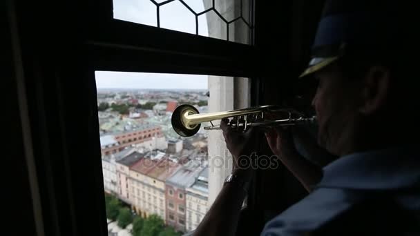 Trumpeter plays Cracovian Hymn — Stock Video