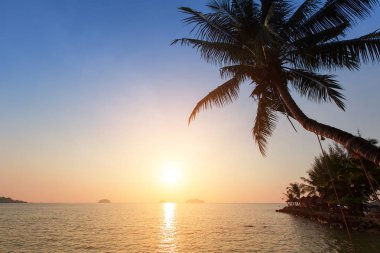 tropik bir plaj gün batımında