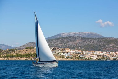 Denizde yelkenli yatı