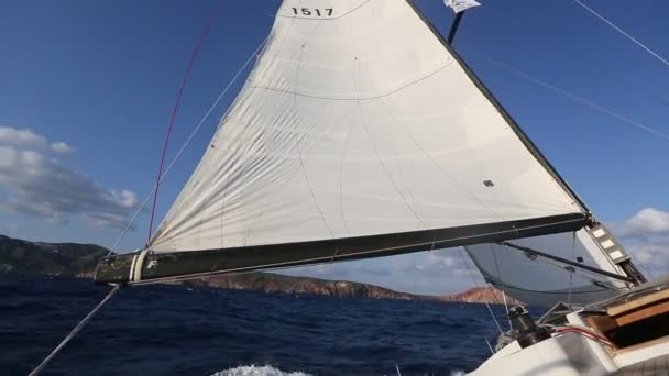 Segelboot während der Regatta — Stockvideo