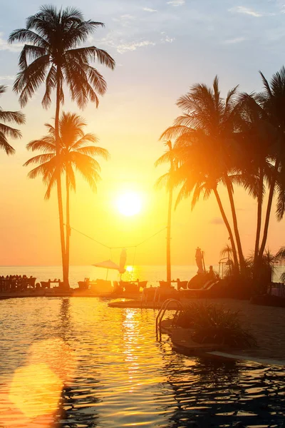 Zonsondergang met silhouetten van palmbomen — Stockfoto