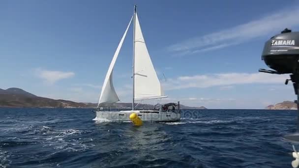 Sailors participate in sailing regatta — Stock Video