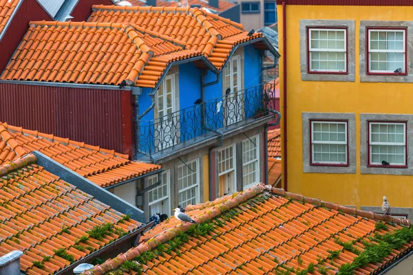 De oude stad Porto — Stockfoto