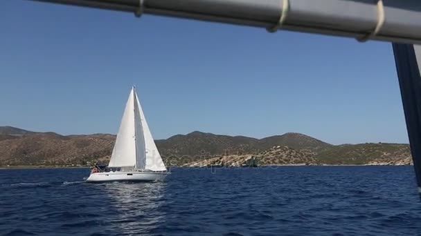 Yacht, vitorlás regatta — Stock videók