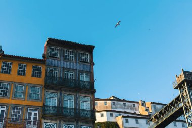 Martı kuşları ile gökyüzü karşı evleri