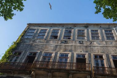 Porto eski kesiminde bina terk