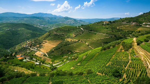 Valle del Duero, Portugal — Foto de Stock