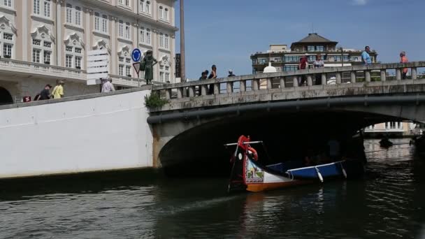 Bateaux traditionnels moliceiro — Video