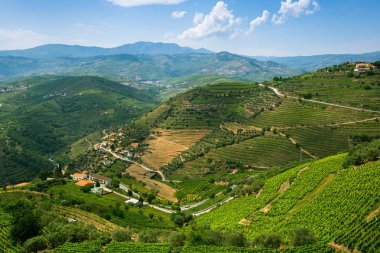Douro valley, Portekiz