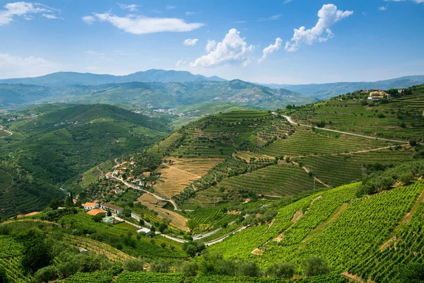 Valle del Duero, Portugal — Foto de Stock