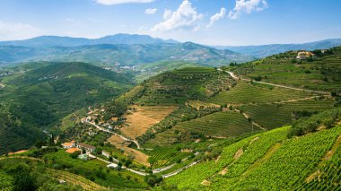 Douro valley, Portekiz