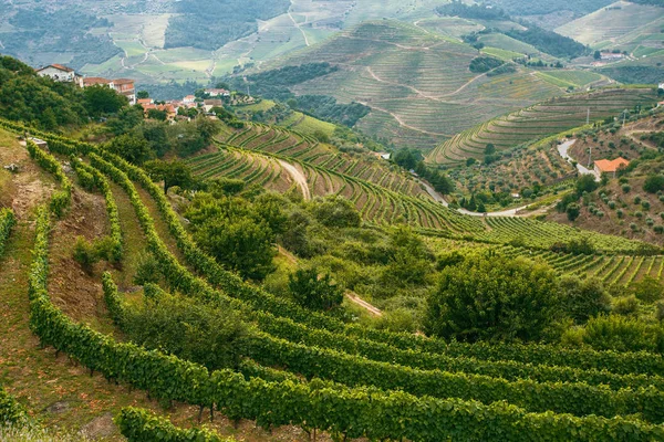 Valle del Duero, Portugal — Foto de Stock