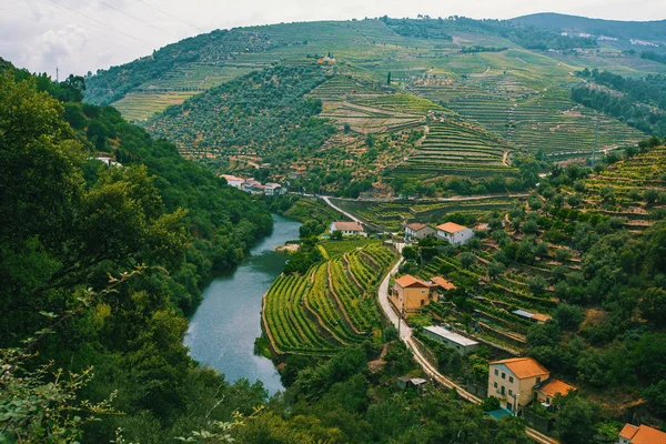 Dourovallei, portugal. — Stockfoto