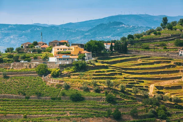 Údolí Douro, Portugalsko. — Stock fotografie