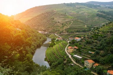 Douro Valley, Portugal. clipart
