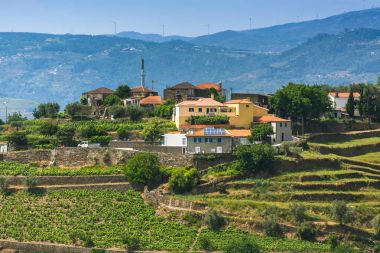 Douro valley, Portekiz.