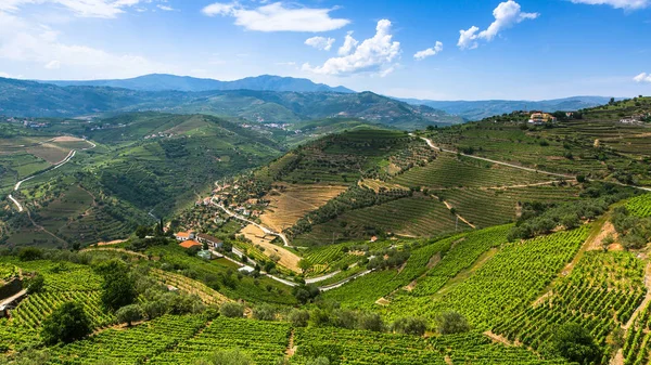 Vale do Douro, Portugal . — Fotografia de Stock