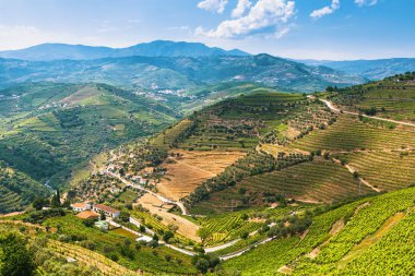 Douro valley, Portekiz.