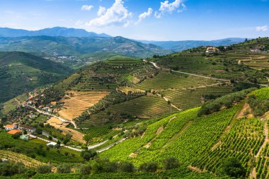 Douro valley, Portekiz.