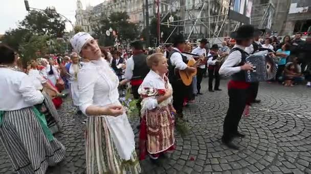 Festival de San Juan — Vídeo de stock