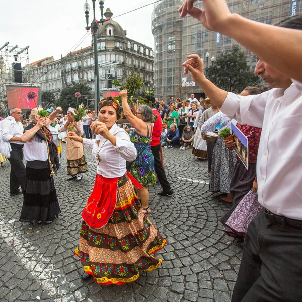 Festival of St John — Stockfoto