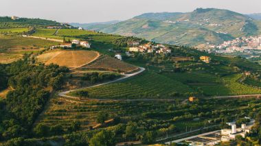 Douro Valley Portekiz
