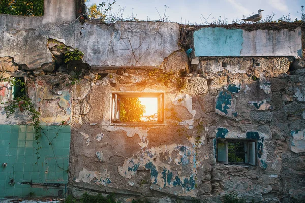 Ruïnes verlaten gebouw — Stockfoto