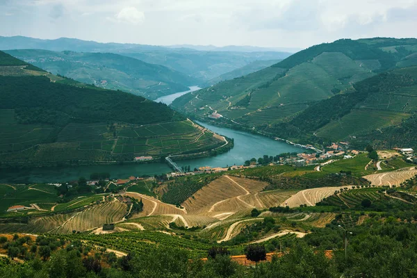 Hügel im Douro-Tal — Stockfoto