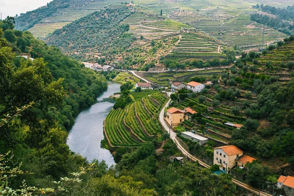 Blick von oben auf den Fluss Douro — Stockfoto