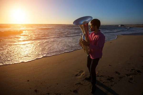 Musiker spelar tuba — Stockfoto